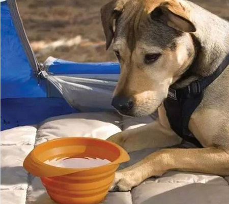 東莞<a href='http://thsm.net/' class='keys' title='點(diǎn)擊查看關(guān)于帝博硅膠制品廠的相關(guān)信息' target='_blank'>帝博硅膠制品廠</a>