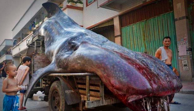 硅膠制品咨詢(xún)