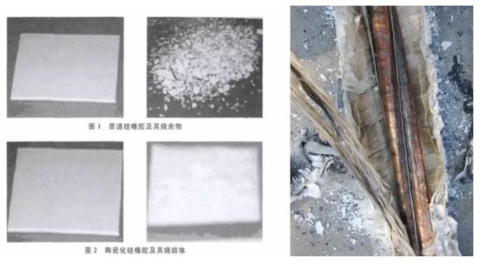 53421r.png 53421r.png